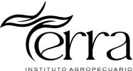 Aula 6